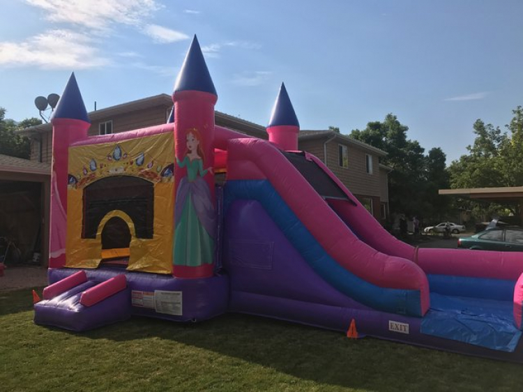 Princess Castle and Slide Dry Combo